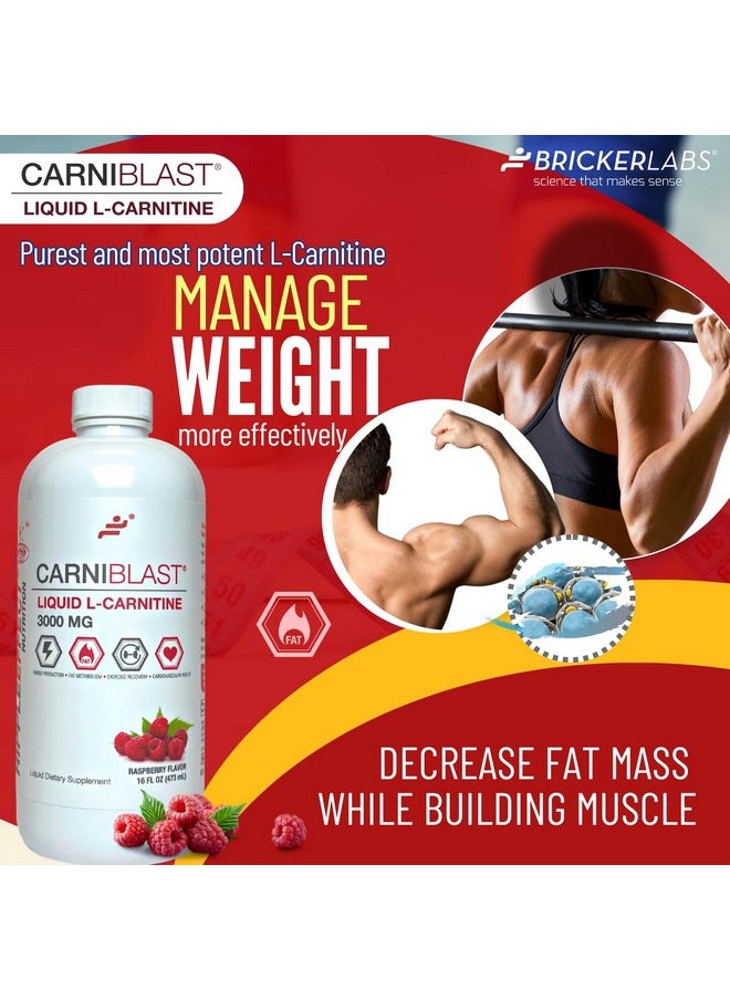 Bricker Labs Bricker Labs CARNIBLAST Liquid L-Carnitine 3000mg, Premium L Carnitine Carnipure, Energy Nutrition, Energy Supplement and Energy Booster, Raspberry, 16 fl oz  - Image 5