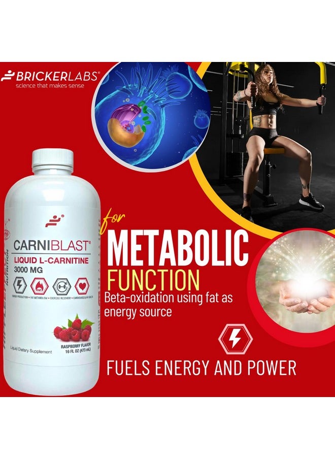 Bricker Labs Bricker Labs CARNIBLAST Liquid L-Carnitine 3000mg, Premium L Carnitine Carnipure, Energy Nutrition, Energy Supplement and Energy Booster, Raspberry, 16 fl oz  - Image 3