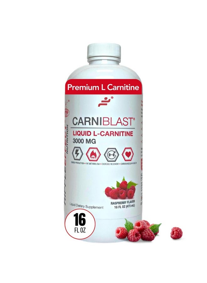 Bricker Labs Bricker Labs CARNIBLAST Liquid L-Carnitine 3000mg, Premium L Carnitine Carnipure, Energy Nutrition, Energy Supplement and Energy Booster, Raspberry, 16 fl oz  - Image 1