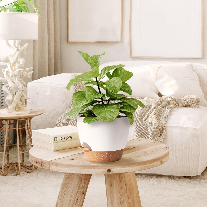 SE SUN-E Indoor Plant Pots for Lazy People, 5Pack White Plastic Self Watering Planter Pots for Houseplants,Succulent, African Violets,Snake Plants, Flowers and Cactus(7/6.5/6/5.5/5 Inch) - Image 5