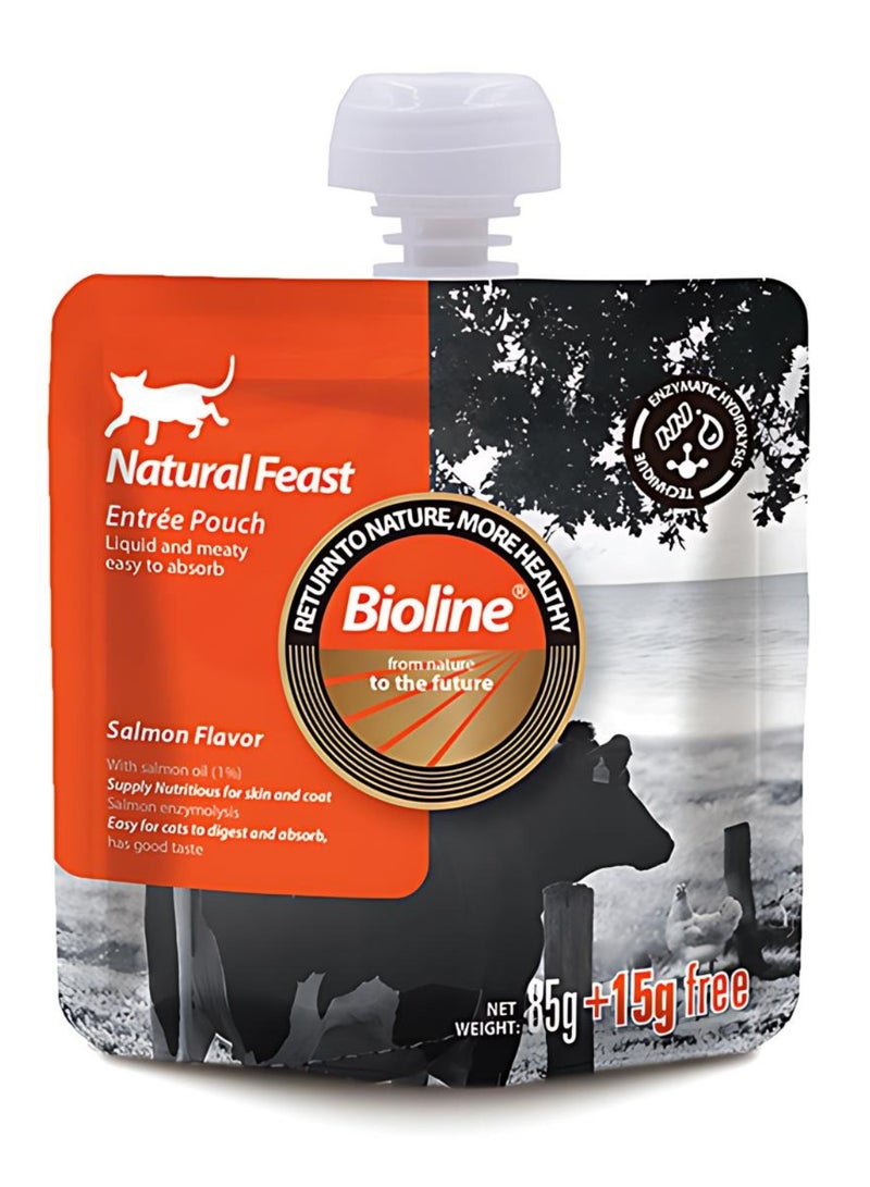 Bioline Natural Feast Entree Pouch Salmon Flavor 85g+15g ( 6 pcs ) - Image 2
