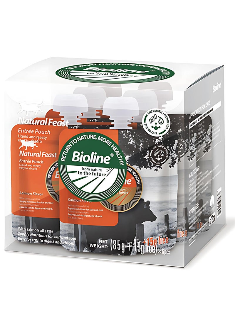 Bioline Natural Feast Entree Pouch Salmon Flavor 85g+15g ( 6 pcs ) - Image 1
