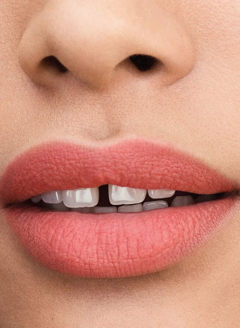 RIMMEL LONDON Lasting Finish Matte Lipstick Chestnut Rose 160