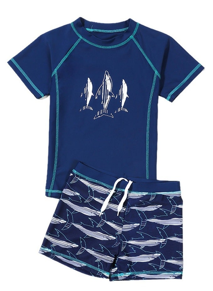 Loquat Boys Split Swimsuits Set Short Sleeve Swim Shirts ,Swim Trunks 2 Piece Set - Image 1