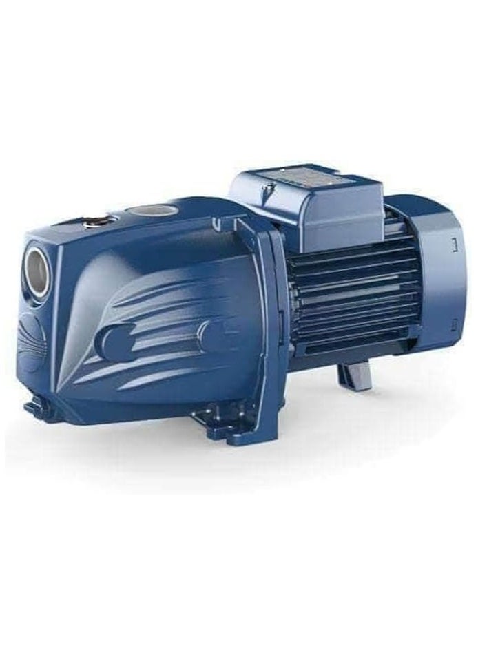 Pedrollo Self Priming Jet Water Pump (1 HP, JSWM2C) - pzsku/Z6C85B29041B421D2D6E1Z/45/_/1731778415/aa102599-a829-4eae-a52f-3023dbc2e3d8