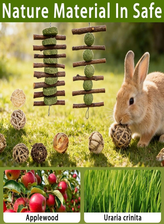 Morezi Rabbit chew Toys Bunny Toys for Rabbits Indoor 10 pcs Bunny chew Toys Balls 2 pcs Teeth Grinding Toy Great for Rabbits Guinea Pigs Chinchillas Hamsters mice Toys - Image 3