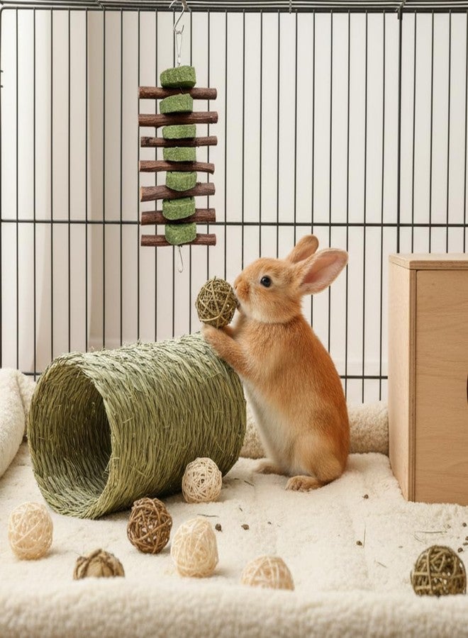 Morezi Rabbit chew Toys Bunny Toys for Rabbits Indoor 10 pcs Bunny chew Toys Balls 2 pcs Teeth Grinding Toy Great for Rabbits Guinea Pigs Chinchillas Hamsters mice Toys - Image 2