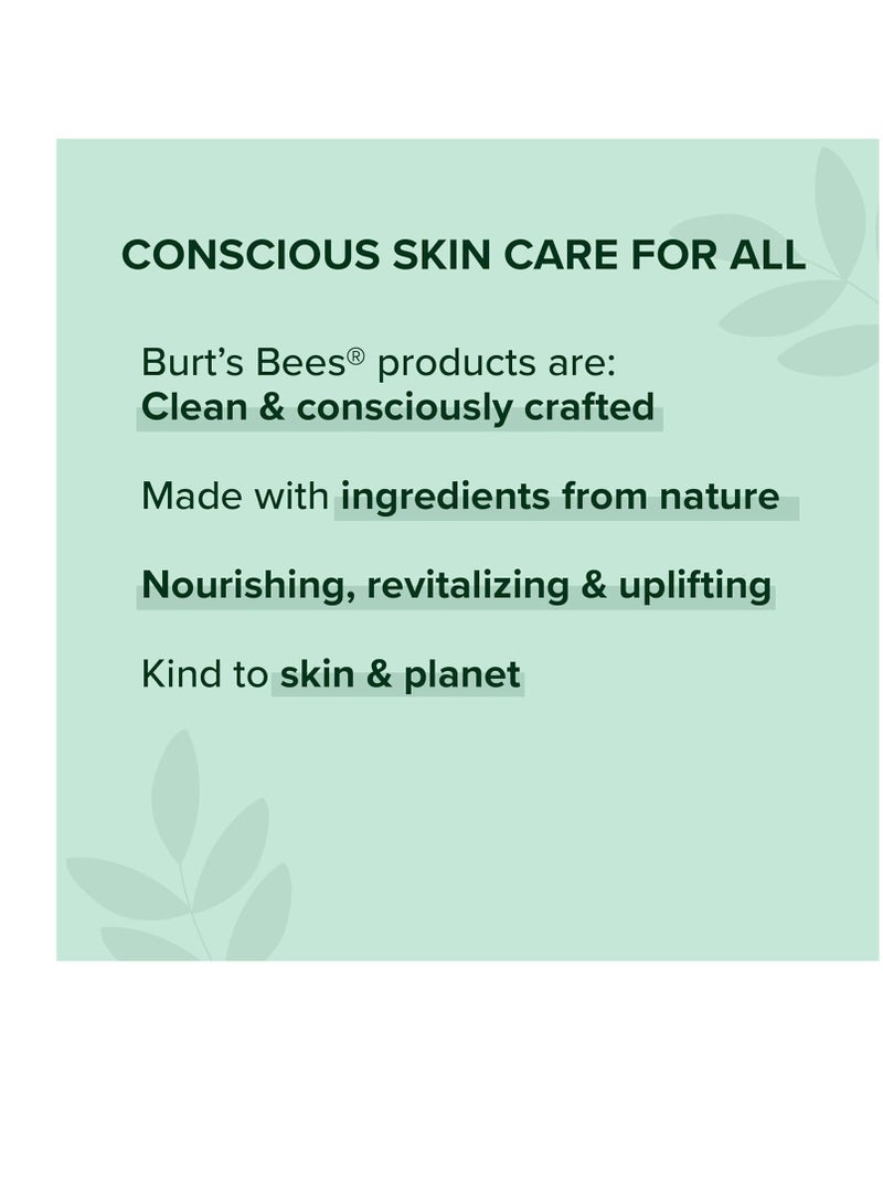 Burt's Bees مجموعة تينت شفاه شيمر من بيرتس بيز، قلم بلسم شفاه ملون، مرطب لترطيب طوال اليوم مع لمسة لامعة ذات أصل طبيعي ولون قابل للبناء، شمبانيا (4 عبوات) - Image 5