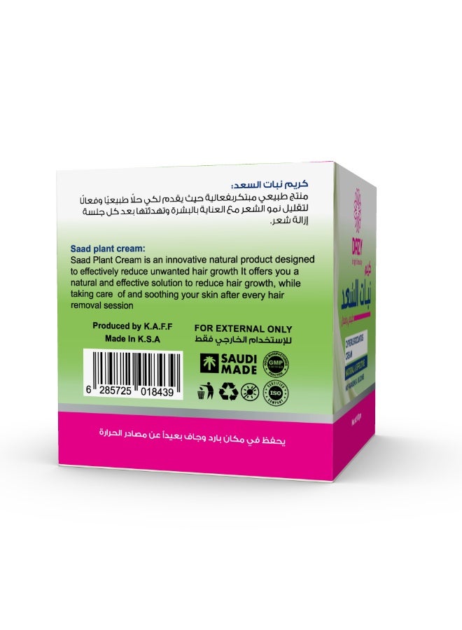 دازي دازى كريم نبات السعد لمنع انبات الشعر 100جم - Image 3