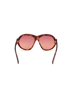 Women's Round Shape Acetate Sunglasses FT111353T59 Lens Size: 59 Millimeter - Blonde Havana - pzsku/Z6C8A1049CF045538A82FZ/45/_/1727713588/2529dd31-8bd0-4509-b046-1d4e6afe8fd4