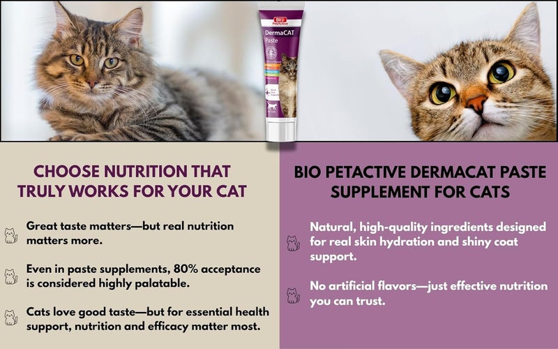 Bio PetActive Cat Skin & Coat Care Paste - 100 ML - Image 2