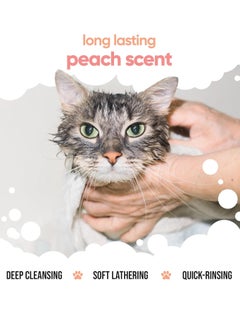 Buddy Peach Cat Shampoo 500ml Deep Cleansing Shampoo for Cats Fruity Scented With Aloe Vera and B5  - Image 5