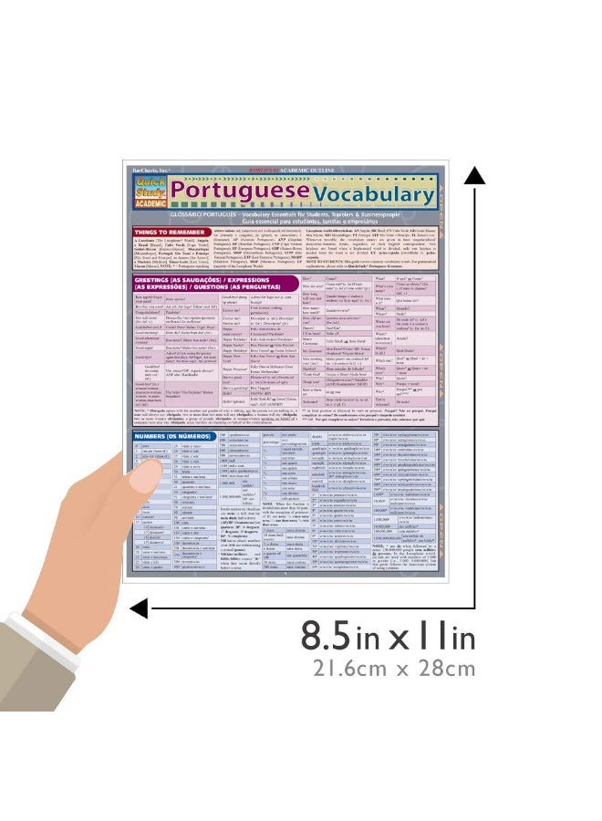 Portuguese Vocabulary - Image 3