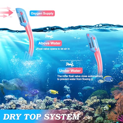 ACQCES Snorkeling Gear for Kids Ages 5-15, 4 in 1 Mask Fins Snorkel Set with HD Tempered Glass Panoramic View Anti-Fog Mask, Dry Top Snorkel, Adjustable Trek Fins, and Mesh Bag, Kids Snorkel Set for Youth - Image 4