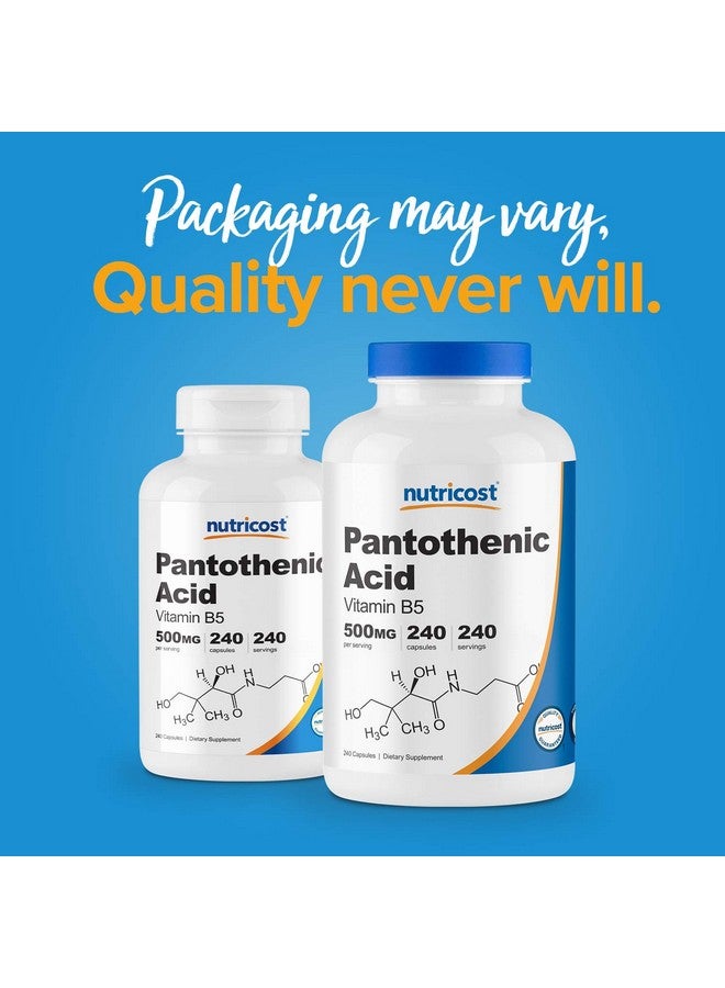 Nutricost Pantothenic Acid (Vitamin B5) 500Mg 240 Capsules - Image 4