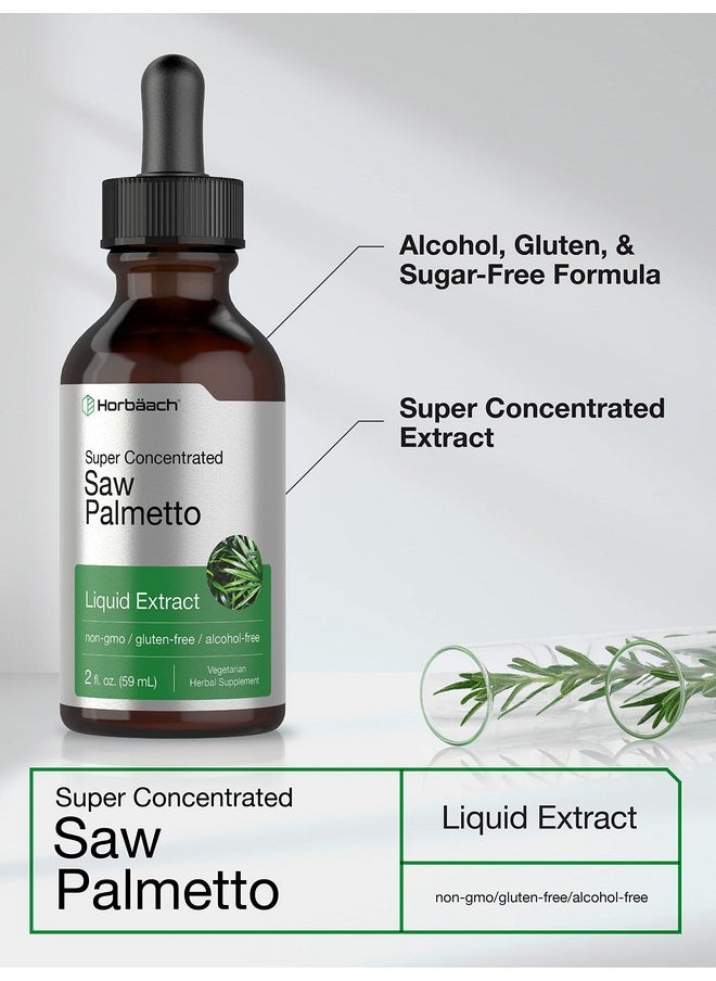 Horbaach Horbäach Saw Palmetto Liquid Extract | 2 Fl Oz | Alcohol Free | Vegetarian, Non-GMO, Gluten Free Herb Supplement  - Image 3