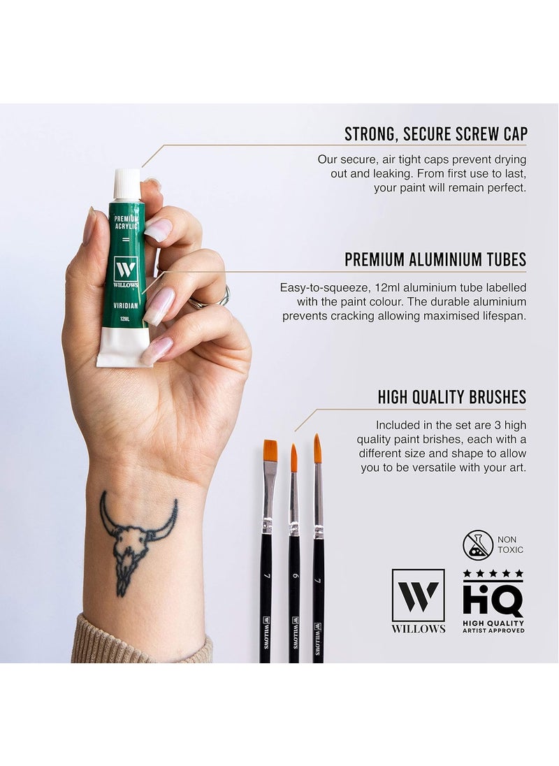 STORE 2508 - Store2508 Willows Acrylic Paint Set – 24 Premium Acrylic Paint Tubes (12ml), 3 Brushes, Palette, 12 Pcs Canvas. Vibrant, Non-Toxic Pigments for Canvas, Glass, Plastic, Rocks, Arts and Crafts - Image 1