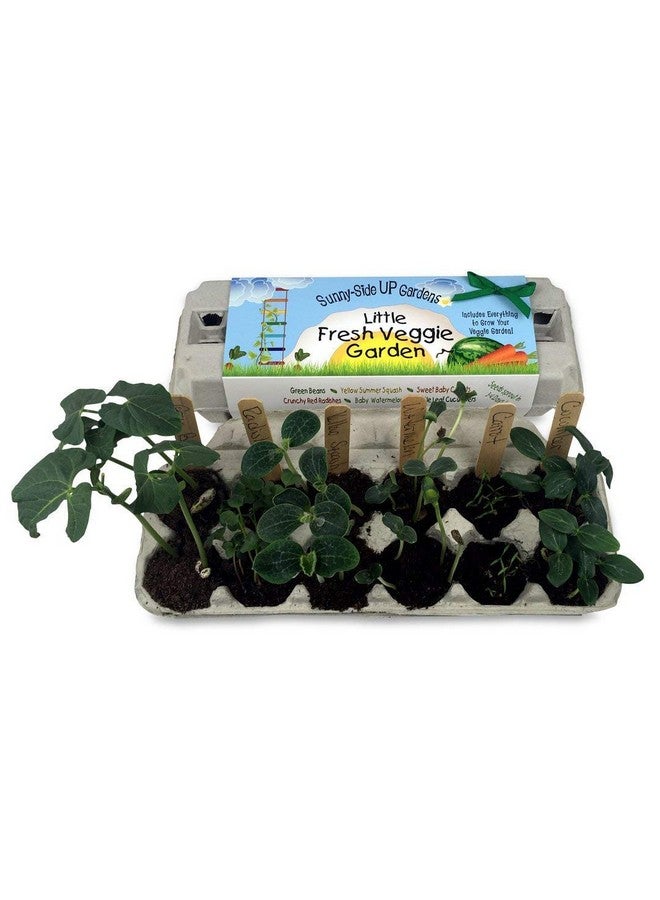 Backyard Safari Company Sunny-Side Up Gardens, Little Fresh Veggie Garden - Image 3