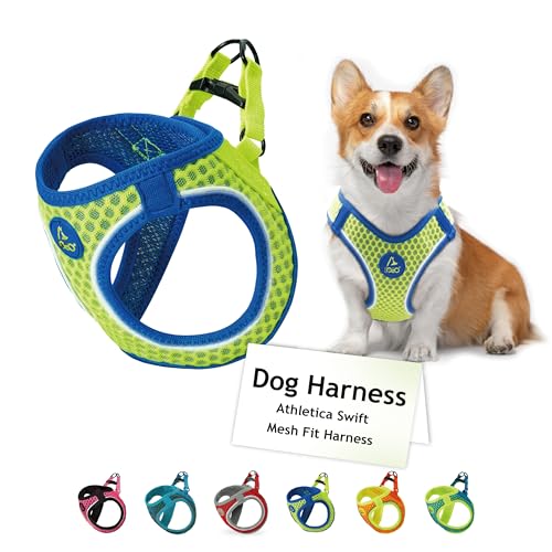 DOCO No Pull Dog Harness for Large Dogs Adjustable ChokeFree Dog Vest with Breathable Air Mesh Light Reflective for Training Daily Walks Lime XLarge Chest 1617 Weight 1015 lbs - Image 1