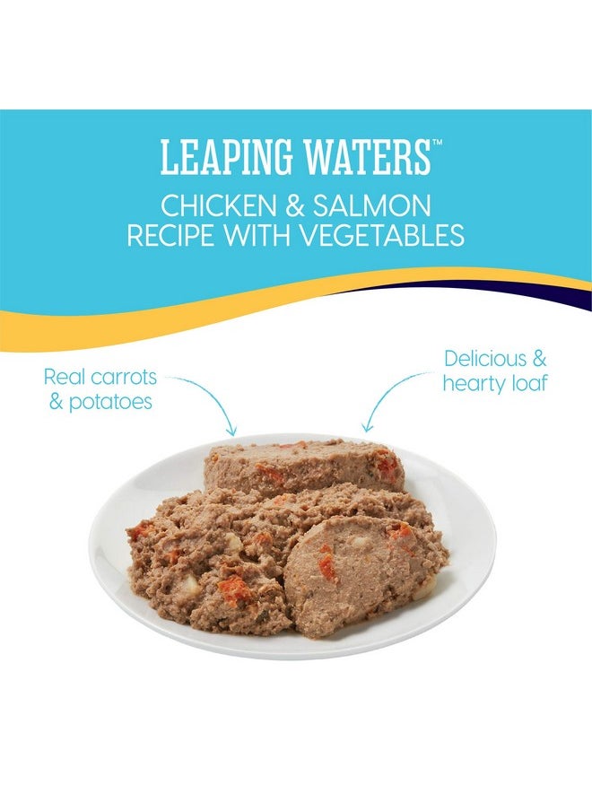 solid gold - Wet Dog Food For Adult & Senior Dogs  Made With Real Chicken & Salmon  Leaping Waters Grain Free Canned Dog Food For Healthy Digestion & Sensitive Stomach - Image 1