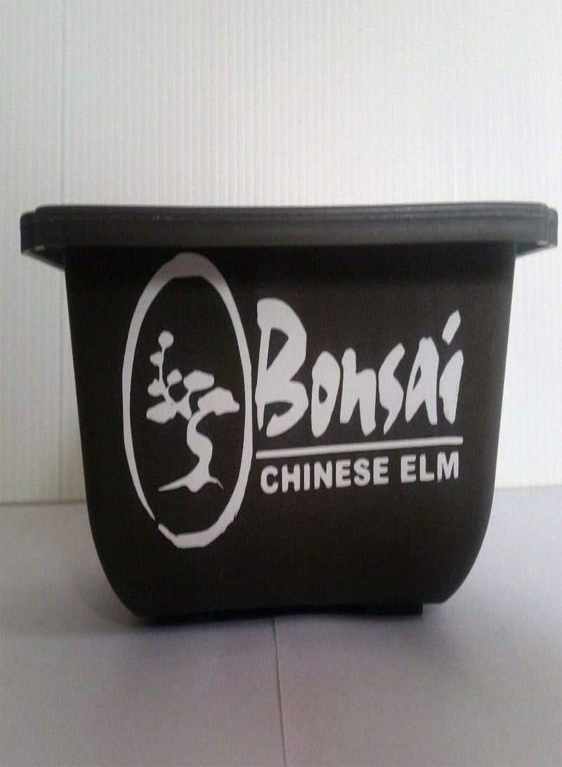 GGOOT : 40 X 120Mm: Custom Bonsai Tree, Bonsai Pot Sticker - Image 1