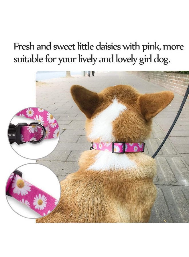كيوكيو بيتس طوق كلاب ناعم قابل للتعديل من QQPETS: مطبوع عليه زهور وردية متعددة الألوان وأنماط لطيفة للحيوانات الأليفة XS صغير متوسط كبير فتاة صبي جرو المشي والجري والتدريب (XS، زهور الأقحوان الصغيرة) - Image 2