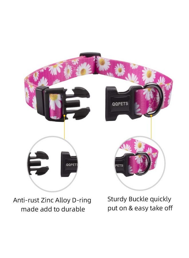 كيوكيو بيتس طوق كلاب ناعم قابل للتعديل من QQPETS: مطبوع عليه زهور وردية متعددة الألوان وأنماط لطيفة للحيوانات الأليفة XS صغير متوسط كبير فتاة صبي جرو المشي والجري والتدريب (XS، زهور الأقحوان الصغيرة) - Image 3