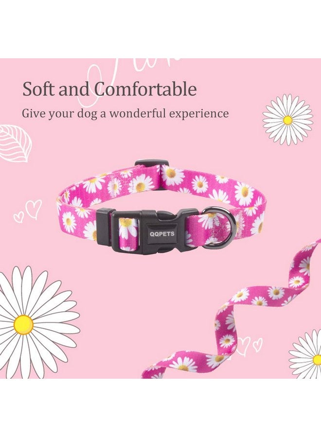 كيوكيو بيتس طوق كلاب ناعم قابل للتعديل من QQPETS: مطبوع عليه زهور وردية متعددة الألوان وأنماط لطيفة للحيوانات الأليفة XS صغير متوسط كبير فتاة صبي جرو المشي والجري والتدريب (XS، زهور الأقحوان الصغيرة) - Image 4