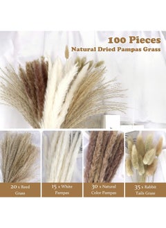 Generic 100 Pcs Dried Pampas Grass Dried Flowers Of Small Reeds Boho Natural Flowers Arrangements White Reed Bunny Tails for Home Decor Flower Living Room Balcony Wedding Party 