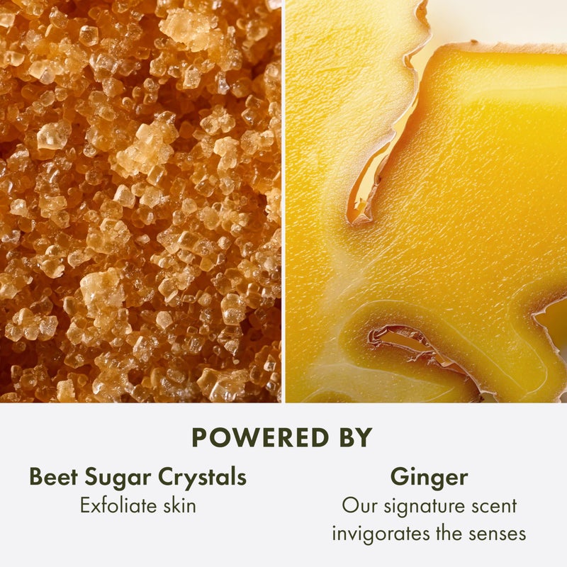Origins Incredible Spreadable Smoothing Ginger Body Scrub | Gently Exfoliates | With Ginger & Sugar, 6.7 Fl Oz - Image 5