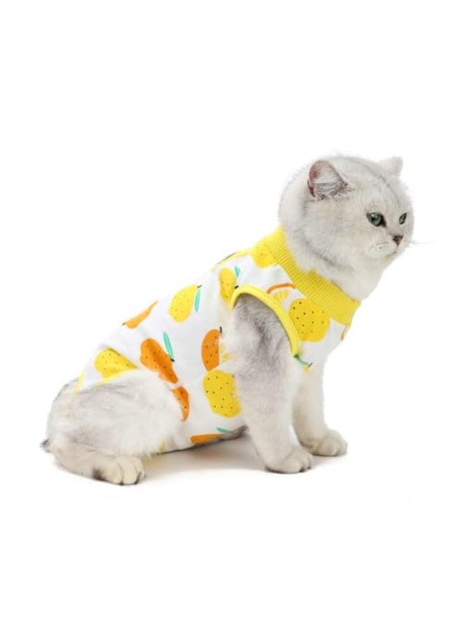Recovery Suit, Professional Dog Cat Surgery Recovery Shirt, for Abdominal Wounds or Skin Diseases with Breathable E-Collar Alternative (Medium) - Image 1