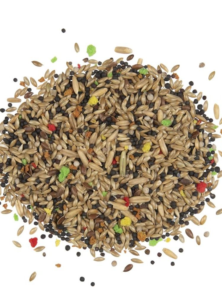 Witte Molen Country Canary Mix For Lovely Canaries Bird Food 2.5Kg - Image 2