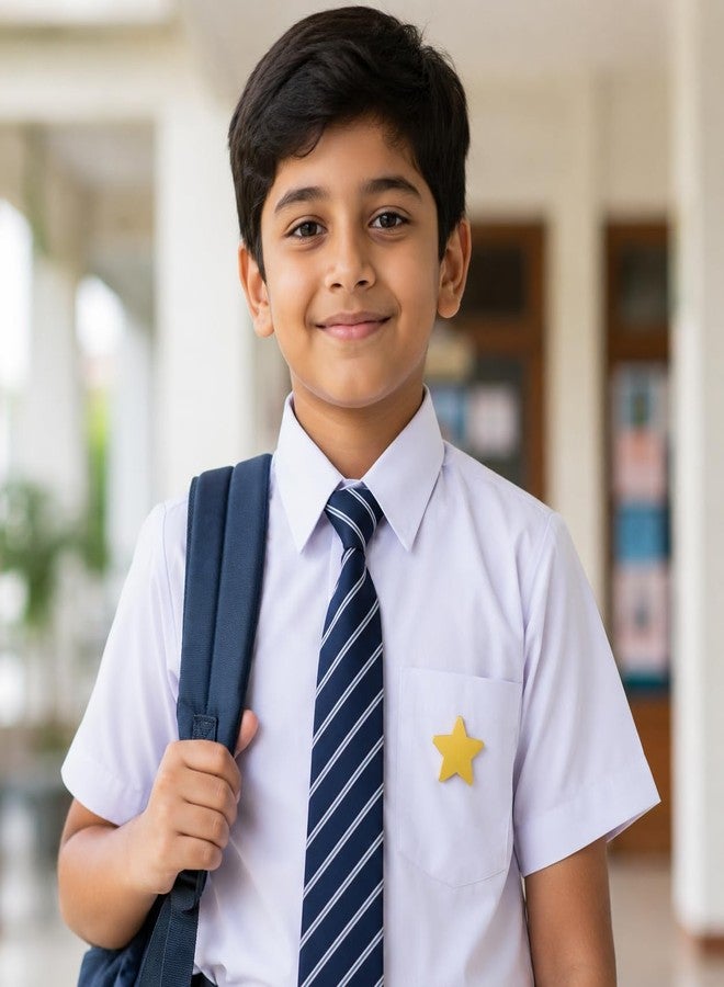 DEEP PRINT MART Shinning Star Badge with Pin to hang on fabrics Label Name plate for kids,adults,school,office and corporate (Set of 30 Star) - Image 5