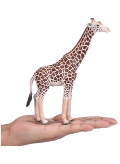 Mojo Wildlife Giraffe Male Toy Figure - pzsku/Z6C977CDF58478213F61AZ/45/_/1721656465/8f3cd77d-8297-44f1-bd04-dcc66a38cddb