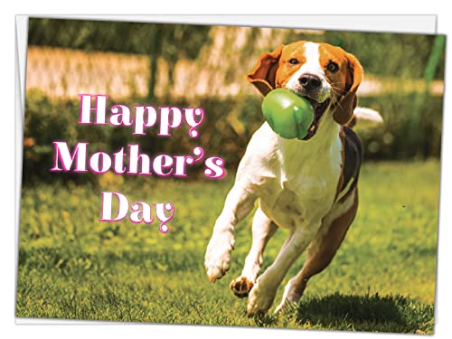 Glory To Dog Best Mom in the Dog Park Mother's Day Greeting Card - Image 1
