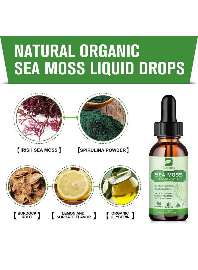 B BEWORTHS Sea Moss Liquid Drops - Organic Irish Sea Moss Gel with Spirulina, Bladderwrack, Burdock Root, Seamoss Gel Supplement for Joint, Detox Cleanse & Digestion Support - 2 Fl Oz, Vegan - Image 2