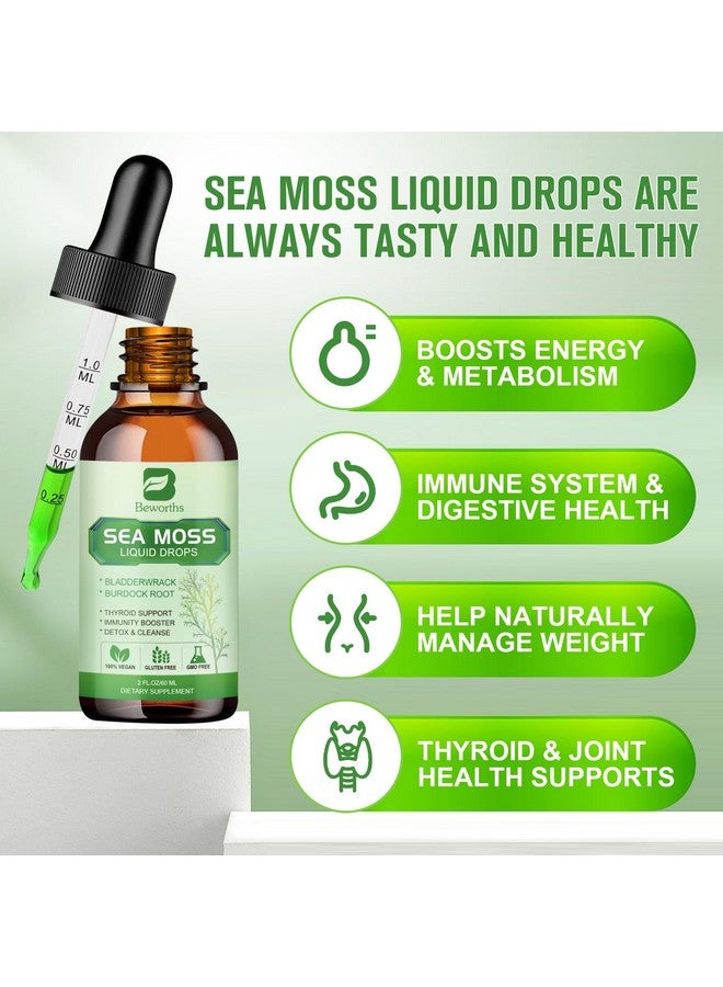 B BEWORTHS Sea Moss Liquid Drops - Organic Irish Sea Moss Gel with Spirulina, Bladderwrack, Burdock Root, Seamoss Gel Supplement for Joint, Detox Cleanse & Digestion Support - 2 Fl Oz, Vegan - Image 3