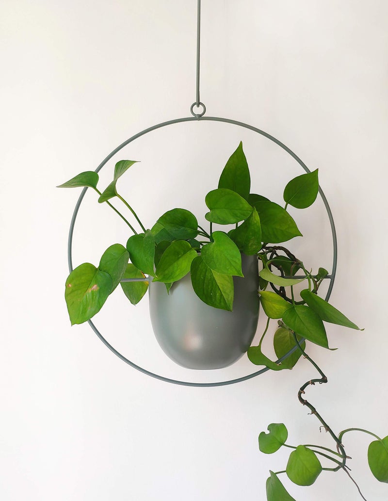 RISEON Boho Green Metal Plant Hanger,Metal Wall and Ceiling Hanging Planter, Modern Planter, Mid Century Flower Pot Plant Holder, Minimalist Planter for Indoor Outdoor Home Decor - Image 4