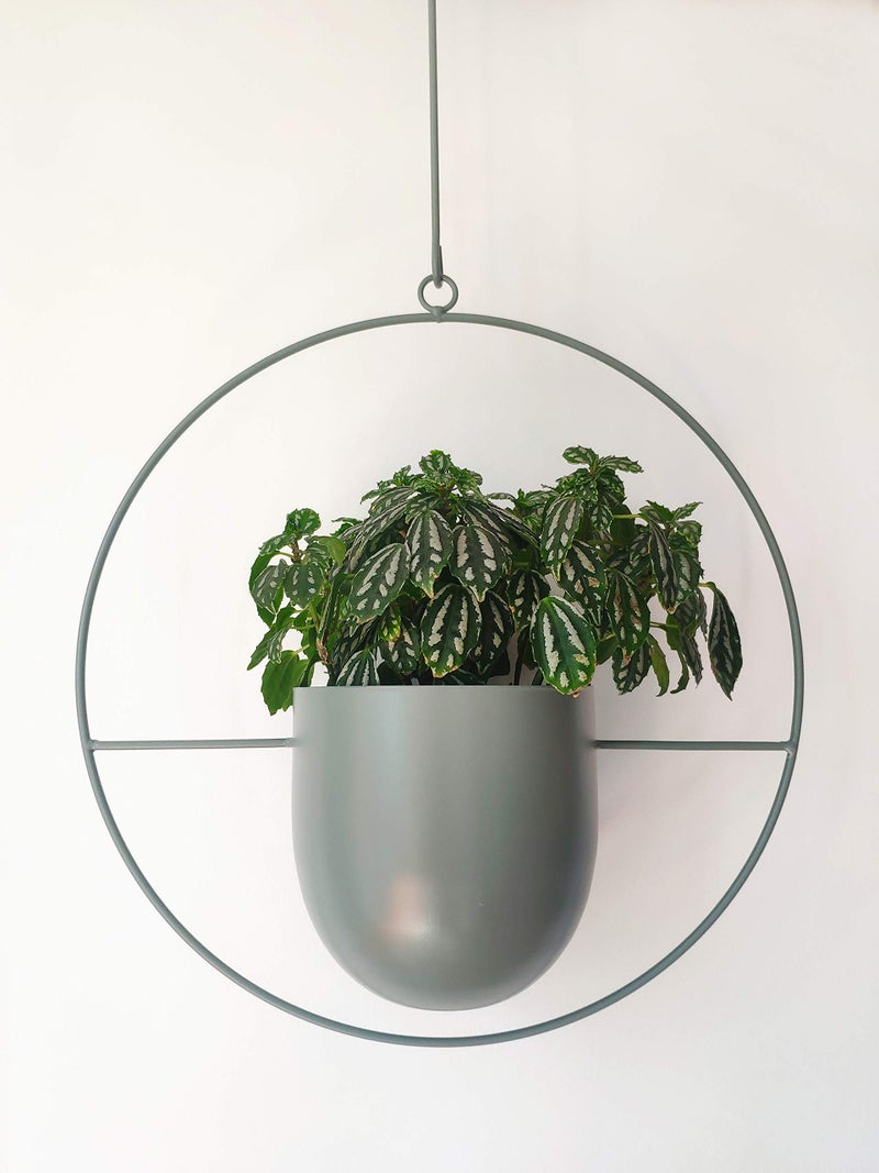 RISEON Boho Green Metal Plant Hanger,Metal Wall and Ceiling Hanging Planter, Modern Planter, Mid Century Flower Pot Plant Holder, Minimalist Planter for Indoor Outdoor Home Decor - Image 2
