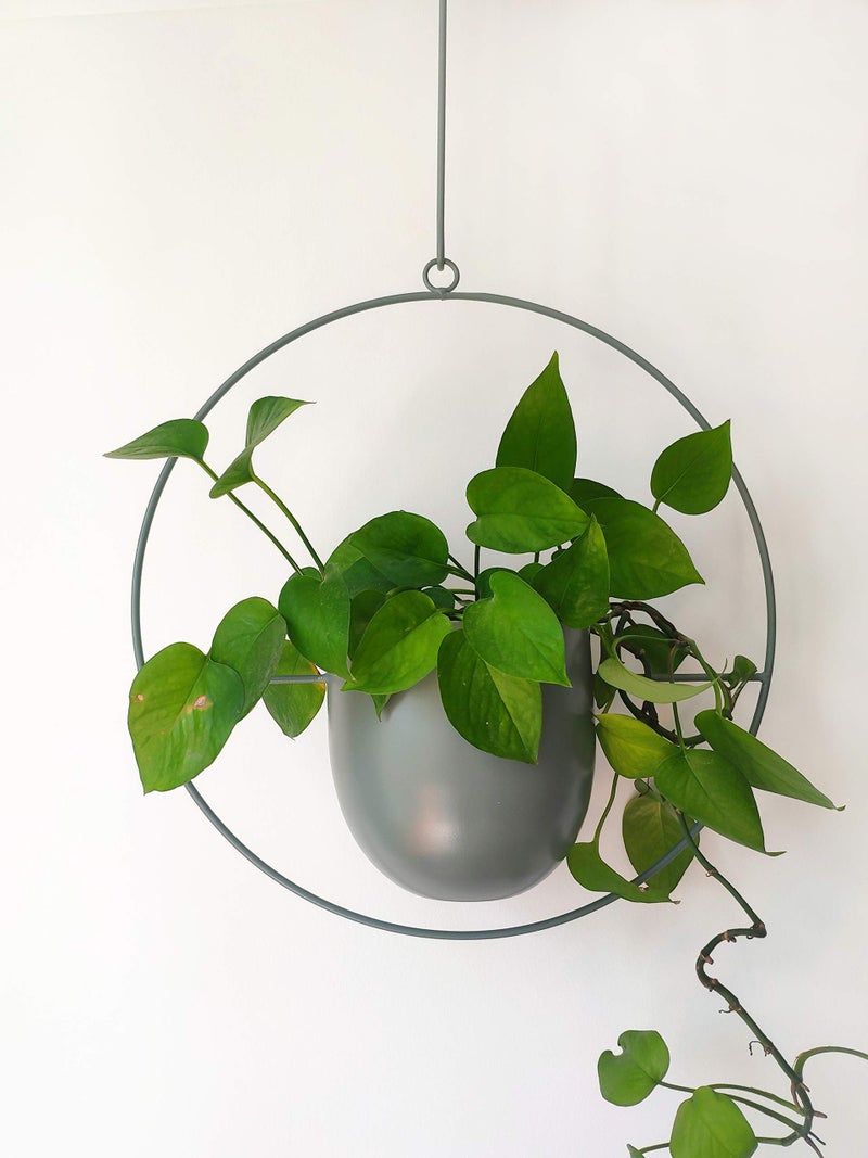 RISEON Boho Green Metal Plant Hanger,Metal Wall and Ceiling Hanging Planter, Modern Planter, Mid Century Flower Pot Plant Holder, Minimalist Planter for Indoor Outdoor Home Decor - Image 3