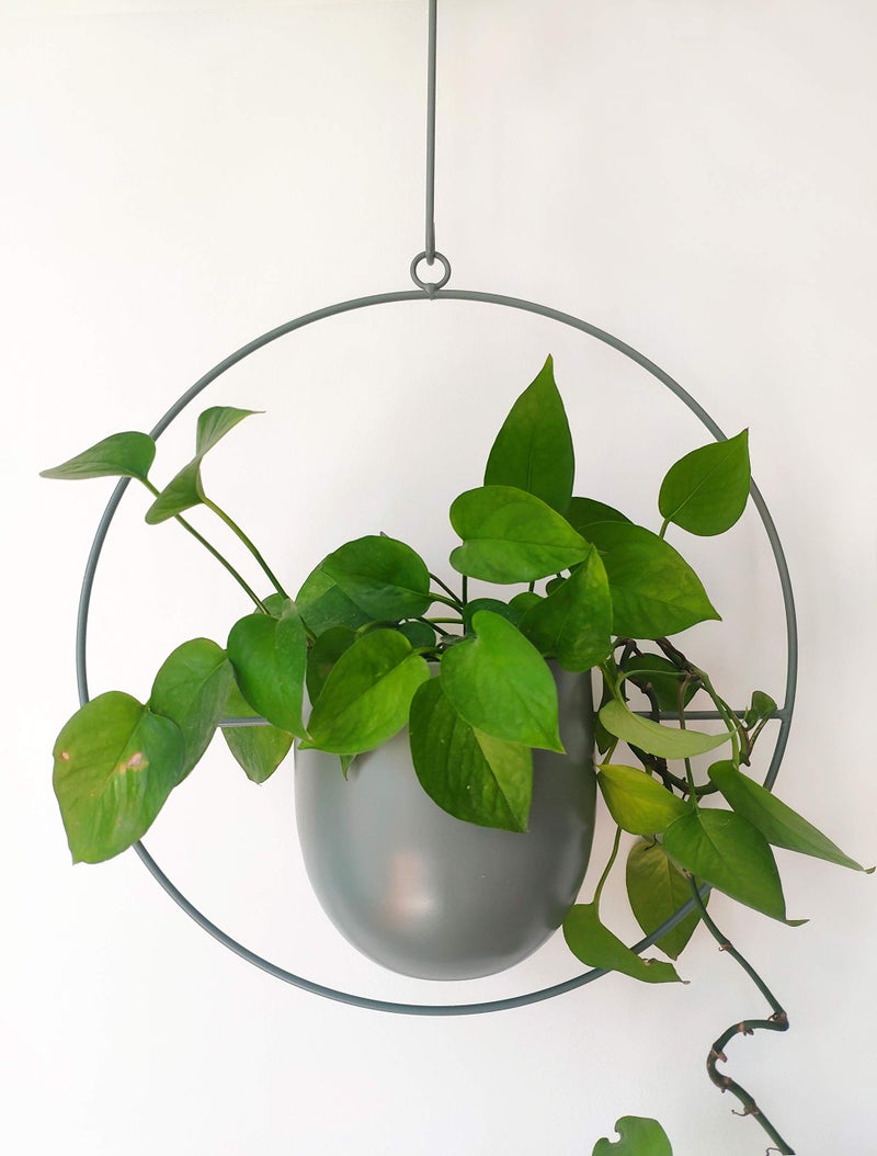 RISEON Boho Green Metal Plant Hanger,Metal Wall and Ceiling Hanging Planter, Modern Planter, Mid Century Flower Pot Plant Holder, Minimalist Planter for Indoor Outdoor Home Decor - Image 1