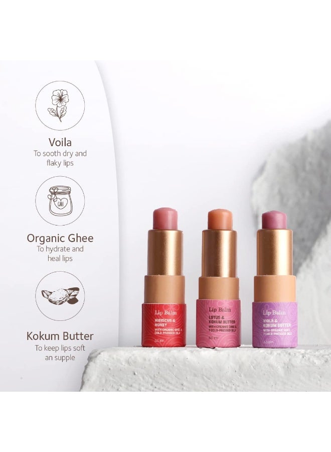 سول تري بلسم الشفاه الأيورفيدي من SoulTree بخلاصة البنفسج وزبدة الكوكوم – مغذٍ، وملطّف، ومرطب لشفاه ناعمة ونضرة – 3.5 غرام - Image 4