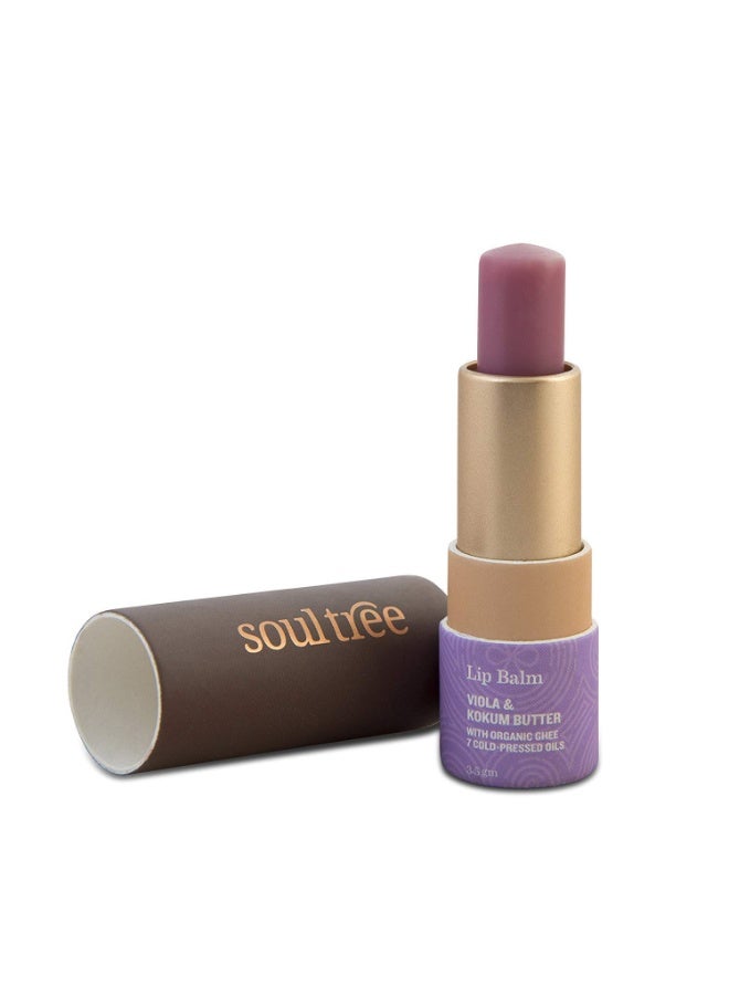 سول تري بلسم الشفاه الأيورفيدي من SoulTree بخلاصة البنفسج وزبدة الكوكوم – مغذٍ، وملطّف، ومرطب لشفاه ناعمة ونضرة – 3.5 غرام - Image 1