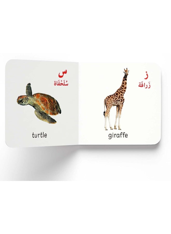 My First English-Arabic Learning Library: Bilingual Boxset of 10 Picture Board Books for Kids - Covers Basic Concepts and Everyday Topics  - Image 1