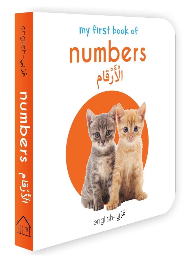 My First English-Arabic Learning Library: Bilingual Boxset of 10 Picture Board Books for Kids - Covers Basic Concepts and Everyday Topics  - Image 3