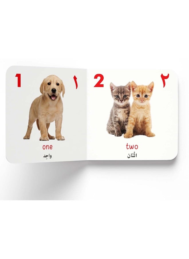 My First English-Arabic Learning Library: Bilingual Boxset of 10 Picture Board Books for Kids - Covers Basic Concepts and Everyday Topics  - Image 2