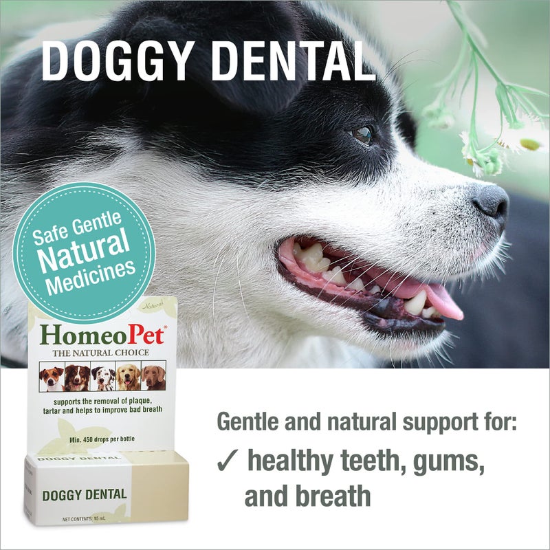 HomeoPet Doggy Dental, Safe, Gentle, and Natural Tooth and Dental Care for Dogs, 15 Milliliters - Image 2