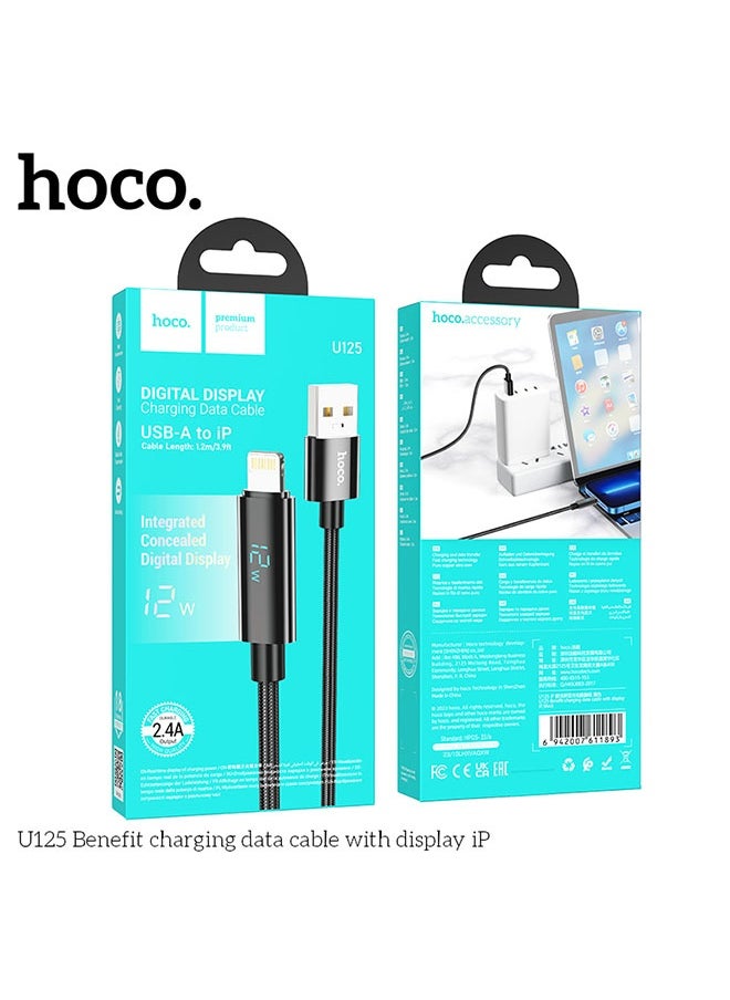 U125 Benefit charging data cable with display iP