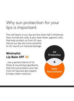 MINIMALIST Spf 30 Lip Balm With Ceramides & Hyaluronic Acid | Lip Protection & Nourishment | For Women & Men | 8 Gm, Off White  - Image 5