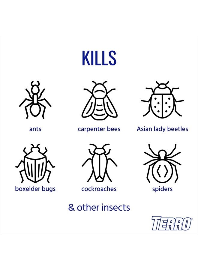 Terro سبراي قاتل النمل الخارجي TERRO T1700 سعة 19 أونصة، عبوة واحدة - Image 2